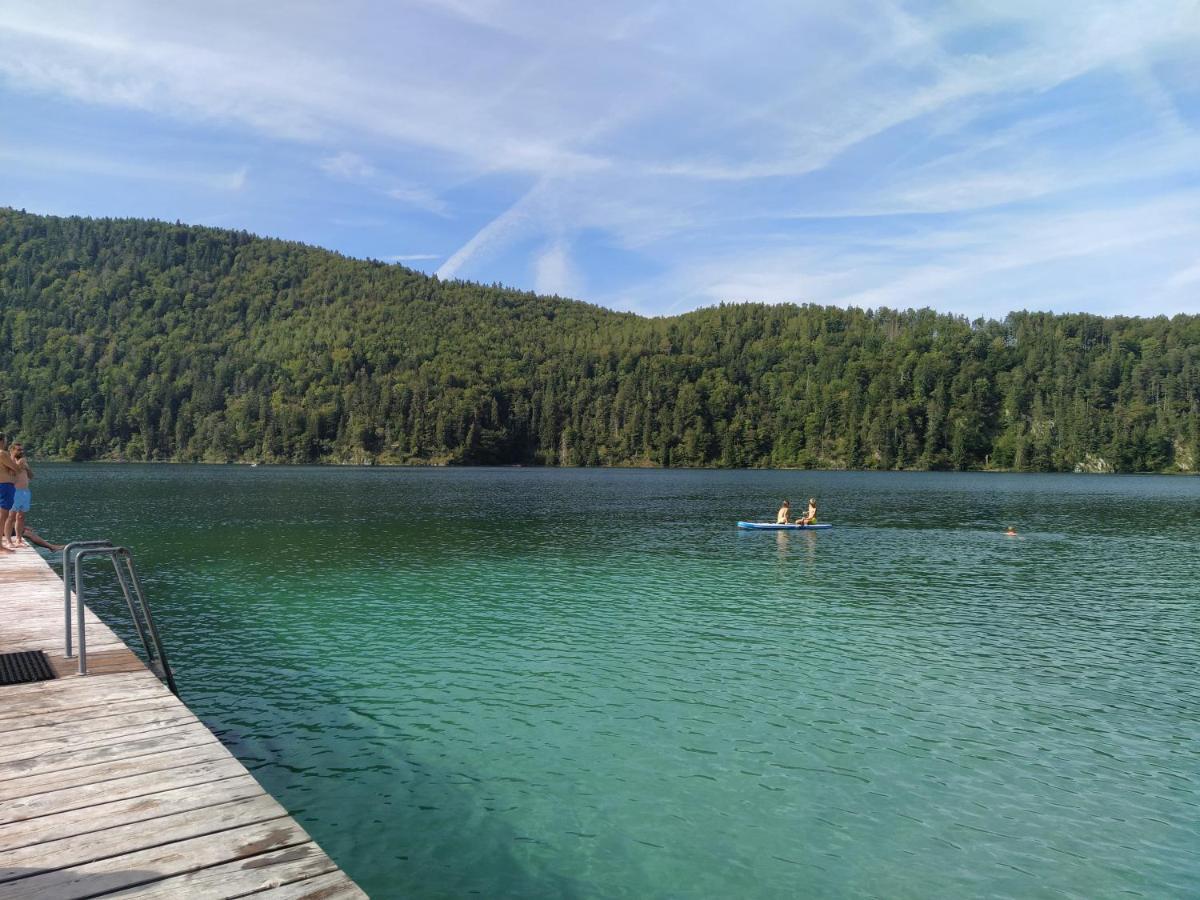 Ferienwohnung Zum Bartelt Hohenschwangau Εξωτερικό φωτογραφία