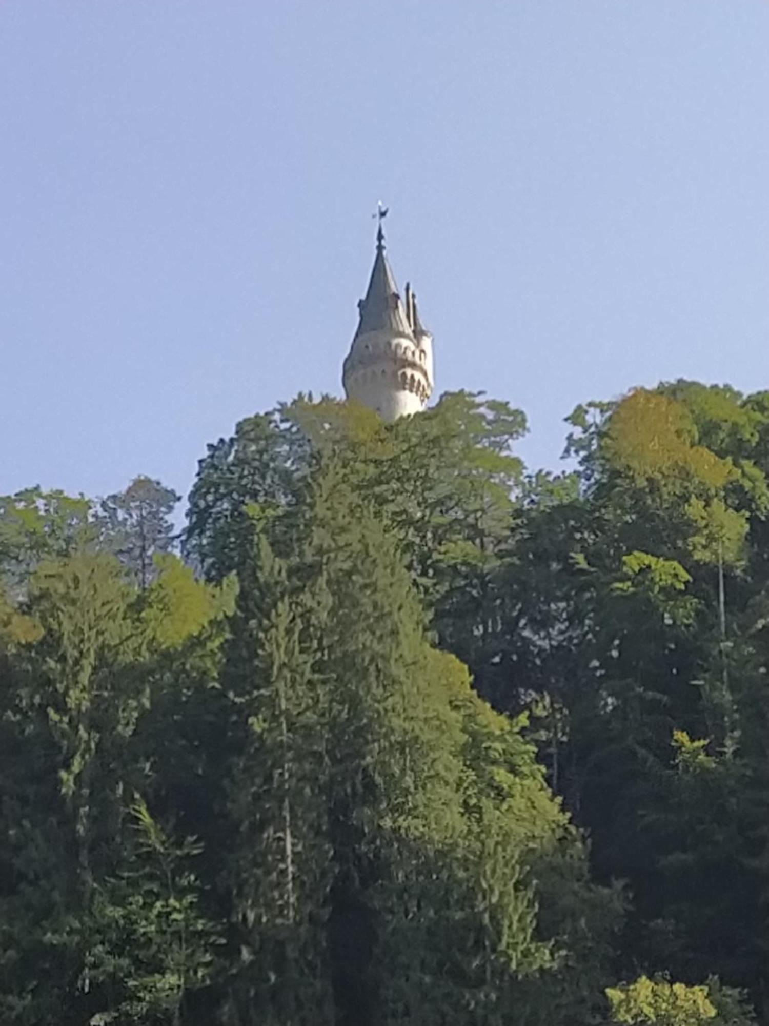 Ferienwohnung Zum Bartelt Hohenschwangau Εξωτερικό φωτογραφία